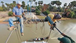 Toni Ruttimann, Orang Swiss yang Membangun 61 Jembatan di Indonesia tapi Didenda Ratusan Juta. Kok Bisa?