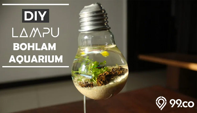 aquarium bohlam