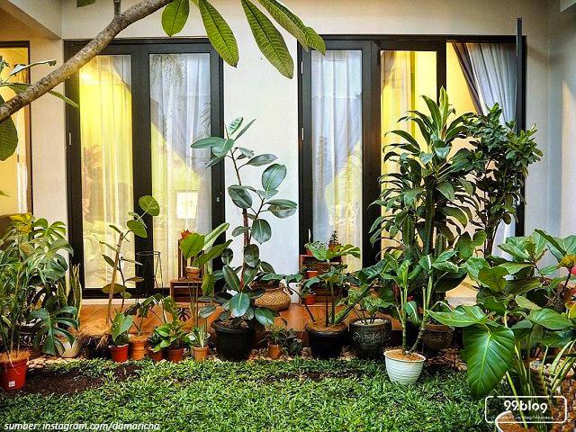 Gunakan Beragam Dekorasi & Tanaman Tropical, Rumah Mungil Ini Tampak Makin Segar!