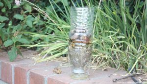 saringan air dari botol