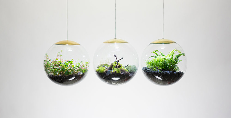 Rumah Makin Hijau! Ini 5 Ide Dekorasi Terrarium yang Lagi Hits
