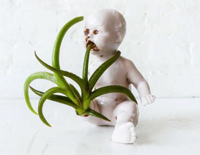 10 Pot dari Boneka Bekas Ini, Dijamin Bikin Takut Setengah Mati!