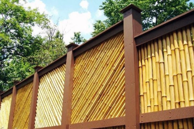 7 Inspirasi Pagar Bambu Bernuansa Minimalis. Rumah Lebih Asri!