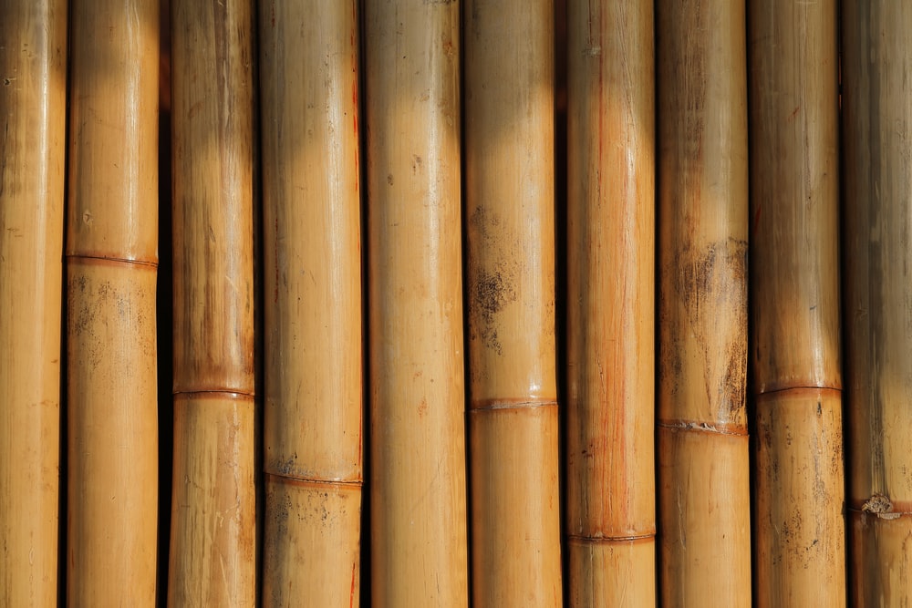 Cara Mudah Membangun Saung Bambu Low Budget dan Bisa Sendiri!