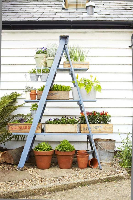 7 Inspirasi Desain Rak Tanaman Hias. Bikin Tumbuhan Terlihat Makin Cantik!