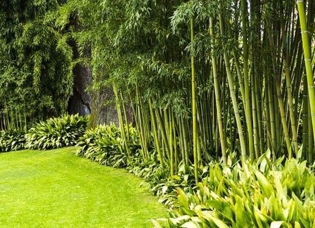 7 Ide Desain Ruang Terbuka Hijau di Rumah Paling Cantik | Area Sempit bukan Masalah!