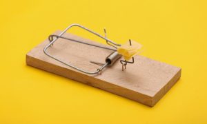 10 Rekomendasi Merek Perangkap Tikus Terbaik. Pasti Terperangkap!