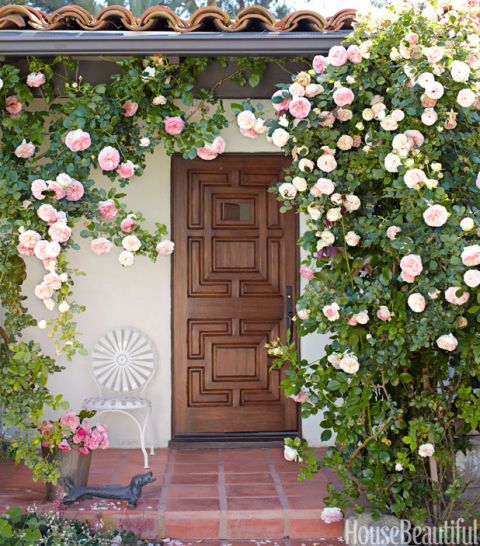 10 Inspirasi Gambar Bunga di Halaman Rumah. Cantik dan Menawan!