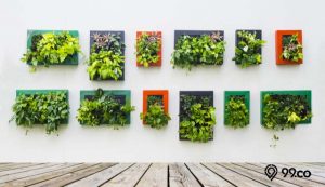 tanaman untuk vertical garden
