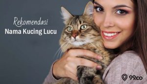 40 Nama Kucing Lucu untuk Jantan dan Betina | Singkat dan Mudah untuk Diingat!