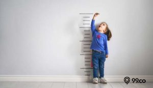 9 Suplemen Peninggi Badan Terbaik untuk Anak dan Remaja | Mulai dari Rp20 Ribuan! 9 Suplemen Peninggi Badan Terbaik untuk Anak dan Remaja | Mulai dari Rp20 Ribuan!