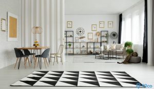 Karpet Plastik rumah
