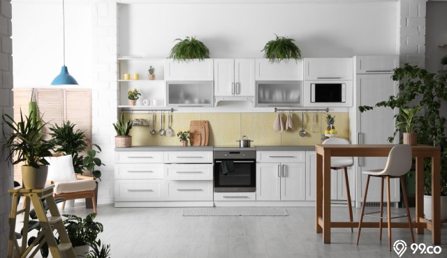 jenis tanaman hias dapur