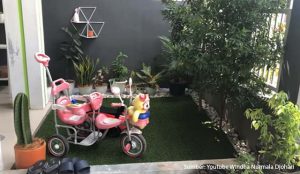 cara membuat taman kering minimalis
