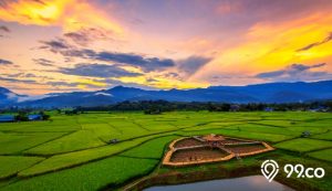 Membahas Legalitas Tanah Absentee bagi Para Pemilik Lahan Pertanian di Luar Kota