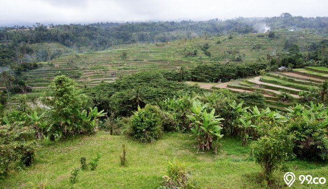 tanah kavling bandung