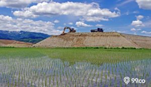 Pemerintah Klaim UU Ciptaker Perketat Izin Alih Fungsi Lahan Sawah. Sebut Syaratnya Panjang!