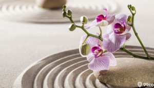 feng shui bunga