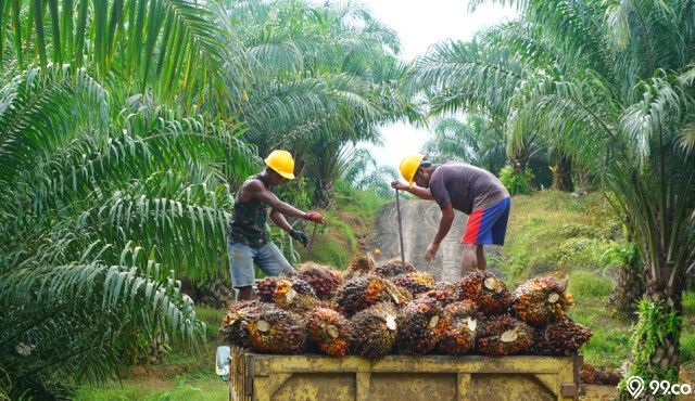 Perusahaan sawit terbesar di Indonesia