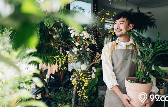 Mengenal 5 Jenis Tanaman Hortikultura yang Bisa Ditanam di Rumah. Variatif!