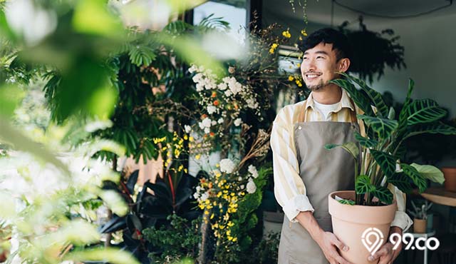 Mengenal 5 Jenis Tanaman Hortikultura yang Bisa Ditanam di Rumah. Variatif!