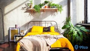 8 Tanaman Pembersih Udara di Kamar. Aroma Ruangan Kian Segar, Istirahat Makin Nyaman!