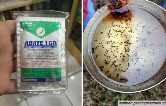 Cara Menggunakan Bubuk Abate yang Benar agar Rumah Bebas Nyamuk. Benar Ampuh Gak Sih?
