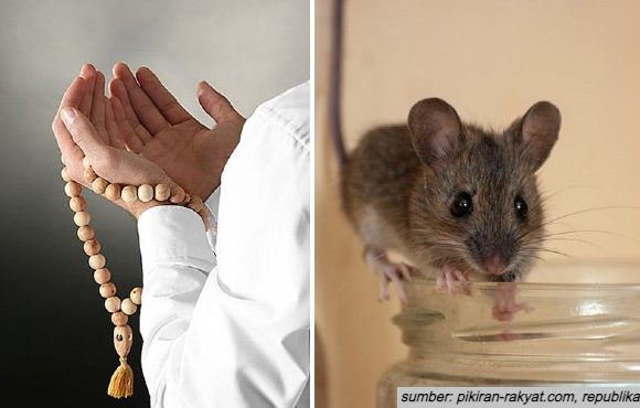 doa pengusir tikus