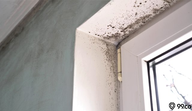 Penyebab dan Cara Mengatasi Rumah Lembab yang Paling Efektif