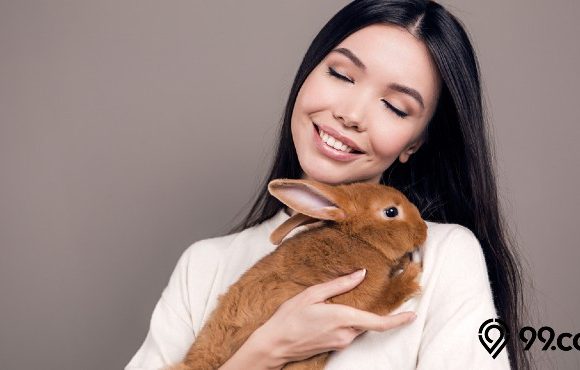 6 Mitos Memelihara Kelinci di Rumah dan Faktanya. Lebih Baik dari Kucing atau Anjing?