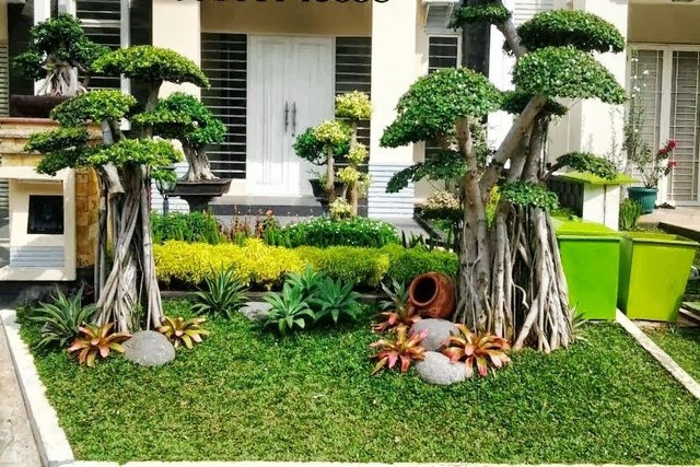 7 Inspirasi Taman Bonsai Depan Rumah yang Cantik dan Unik, Cocok untuk Hunian Minimalis!