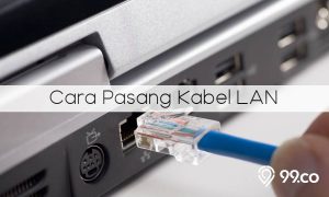 Cara Pasang Kabel LAN dan Urutannya yang Benar. Harus Teliti, ya!