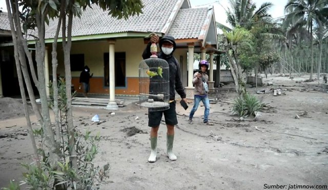 erupsi gunung merapi