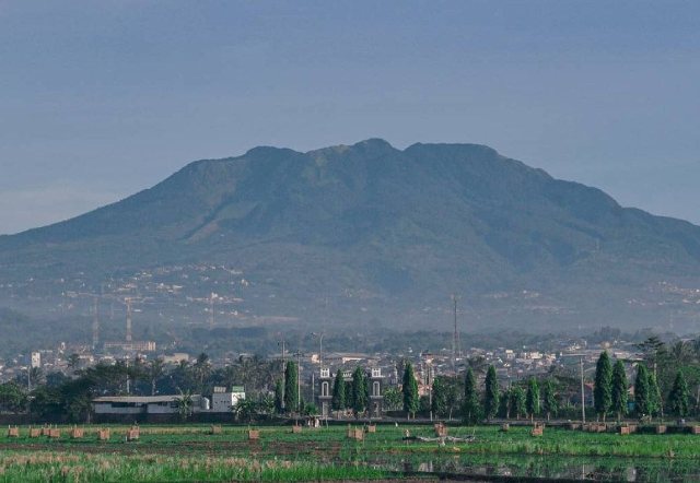 gunung ungaran