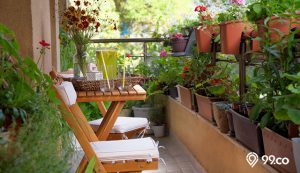 cara menata tanaman di balkon rumah