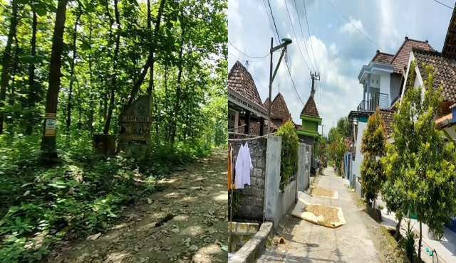 Unik, Intip 7 Potret Kampung Tersembunyi di Tengah Hutan Jati Lamongan. Jangan Salah, Rumahnya Gedongan!