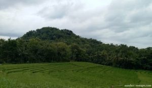 Ritual Mengerikan Pesugihan Mujil dengan Tumbal di Luar Nalar. Bisa Beri Kekayaan 7 Turunan!