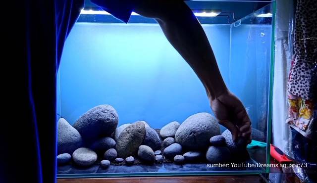 aquascape tema batu kali
