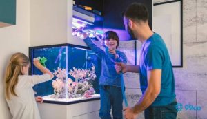 14 Daftar Peralatan Aquarium Lengkap yang Harus Dimiliki. Ikan Jadi Tidak Mudah Mati!