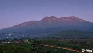 Cerita Ngeri Pesugihan Gunung Lawu untuk Dapatkan Kekayaan. Harus Tumbalkan Anggota Keluarga Sendiri!
