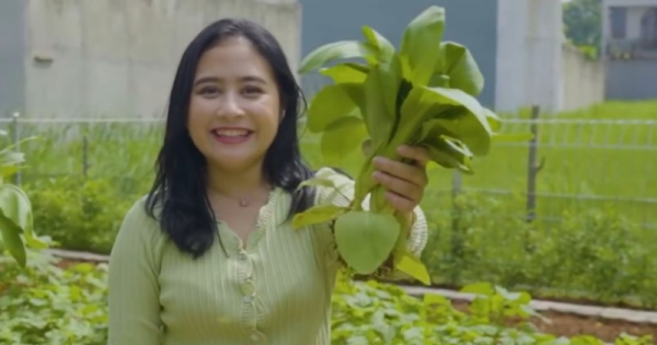 Segar dan Sejuk, Ini 5 Potret Kebun Sayur Prilly Latuconsina di Dekat Rumah Mewahnya!