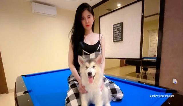 Princess of PIK, Ini 9 Potret Rumah Klaviera Stephanie. Anjingnya Punya Kamar Sendiri!