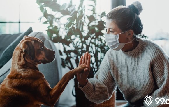 manfaat memelihara anjing di rumah