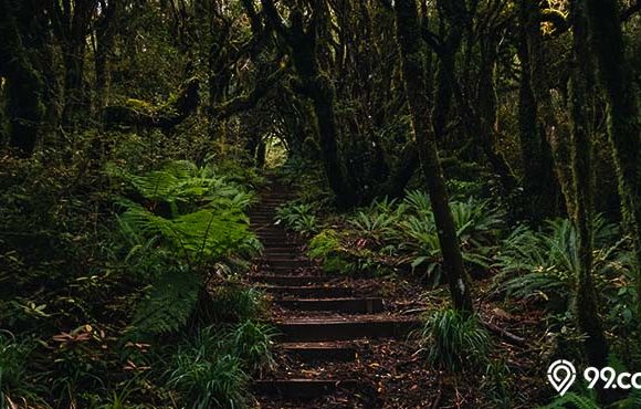 5 Gunung Terangker di Jawa Barat yang Paling Menyeramkan. Ada yang Jadi Lokasi Pesugihan, lo!