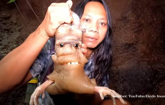 dede inoen makan jin