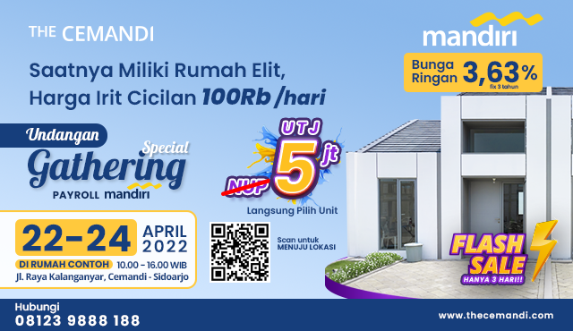Flash Sale the cemandi