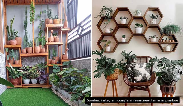 taman vertikal minimalis