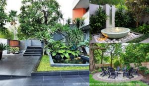 7 Inspirasi Taman Belakang Rumah Luas yang Menyegarkan Mata. Bikin Hunian Lebih Asri dan Sejuk!