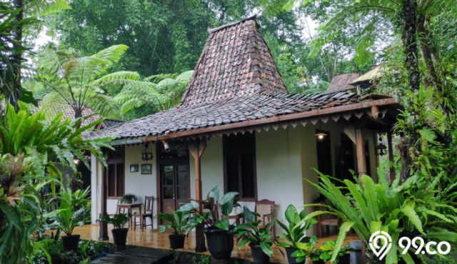 Ini Alasan Kenapa Harga Rumah di Jogja Mahal padahal UMR dan Biaya Hidupnya Murah