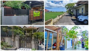 Disebut Surga Wisata, Ini 4 Rekomendasi Rumah Rasa Villa di Bali. Ada yang Rp500 Jutaan!